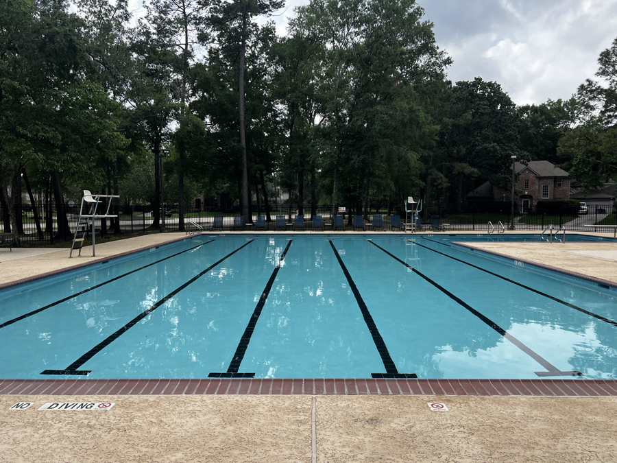 Professional pool cleaning services for clear water
